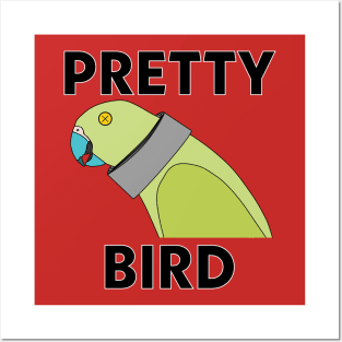 Pretty Bird Posters and Art